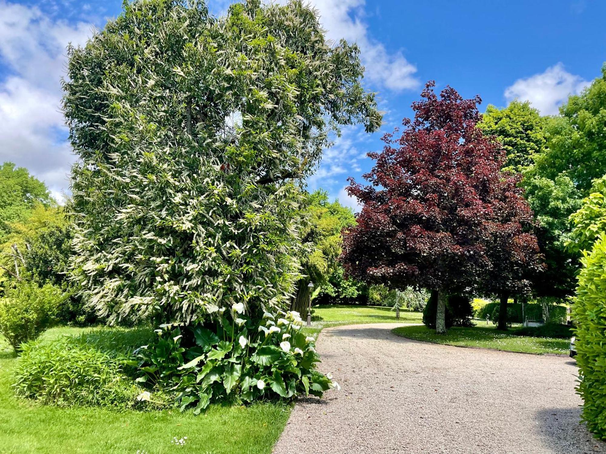 Le Clos Du Benestar Mauvezin-d'Armagnac Экстерьер фото